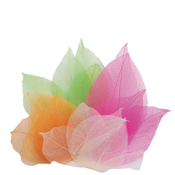 Genuine Magnolia Leaves 300 Pieces — Eduplay Educational Toy