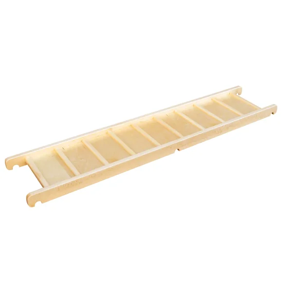 Edugym Balance Board — Eduplay Educational Toy Nursery