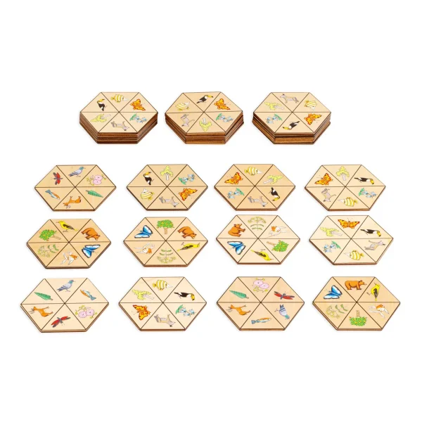 Hexagon nature — Eduplay educational toy for nursery