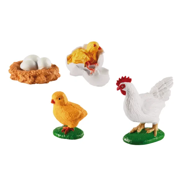 Life Cycle Chicken — Eduplay Educational Toy Nursery