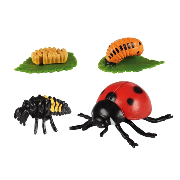 Ladybird Life Cycles — Eduplay educational nursery toy