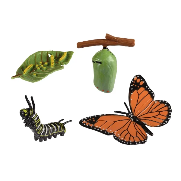 Life Cycle Butterfly — Eduplay Educational Toy Nursery