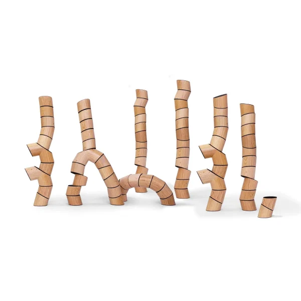 Loggos 75-piece Set Beech — Eduplay educational toy for nursery