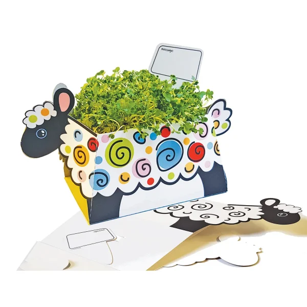 Sheep Plant Bowl — Eduplay educational toy for nursery