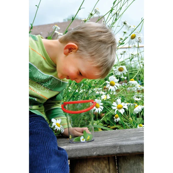 Jumbo Bug Viewer — Eduplay Educational Toy for Nursery