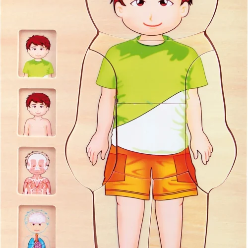 Anatomy Stacking Puzzle Boy — Millhouse Learning Toys School