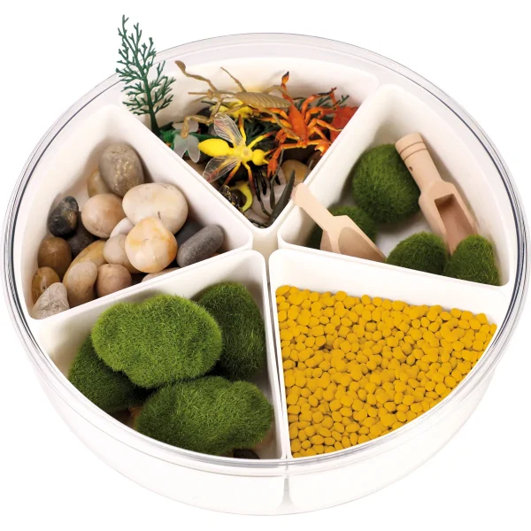 Sensory Box Insects — Eduplay educational toy