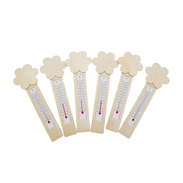 DIY Flower Thermometer Set of 6 — Eduplay educational toy