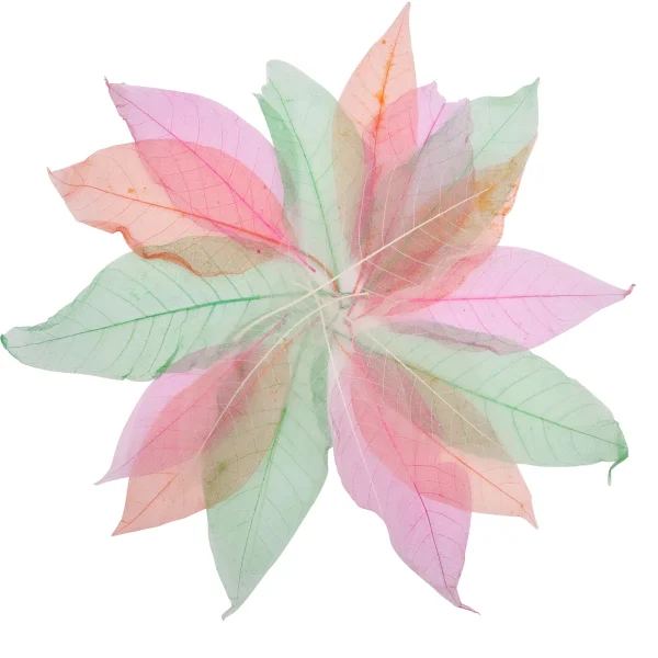 Transparent Leaves 20-Piece Set — Eduplay Educational Nursery Toy
