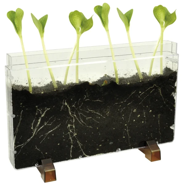 Root House / Worm Farm — Eduplay Educational Toy for Nursery